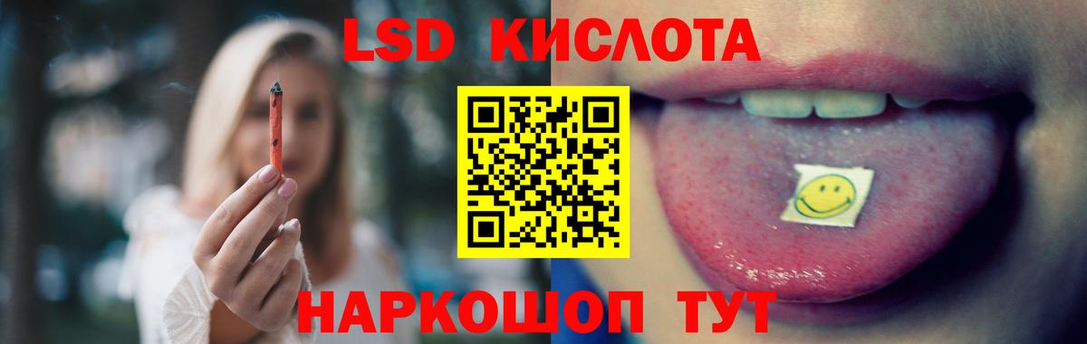 Псилоцибиновые грибы Губкин