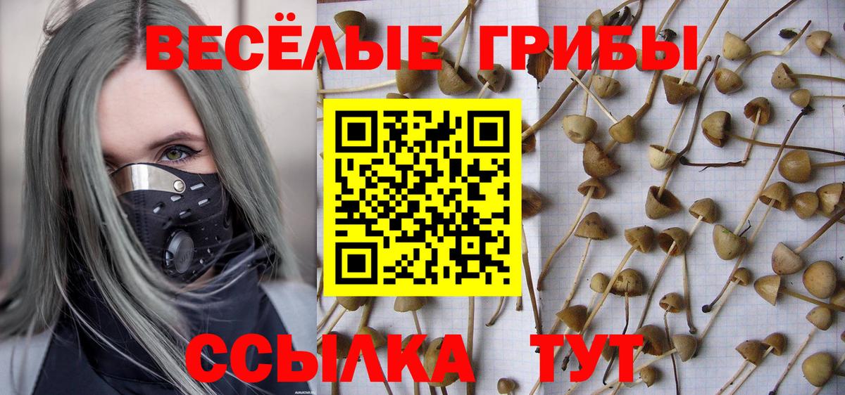Губкин  Псилоцибиновые грибы мухоморы  Галлюциногенные грибы GOLDEN TEACHER  Вход с VPN 