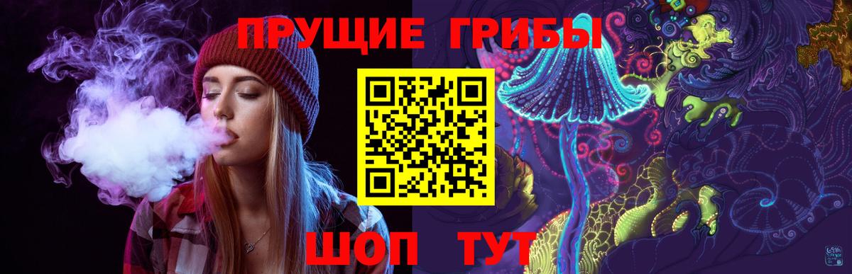 Псилоцибиновые грибы мухоморы Губкин